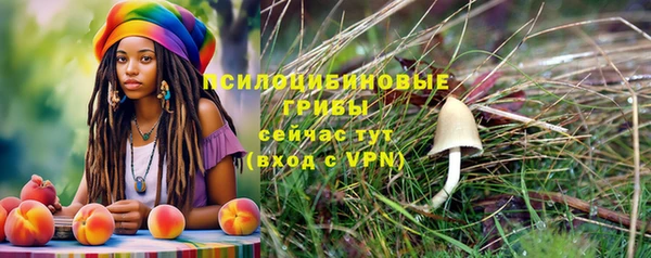 соль ск Арсеньев