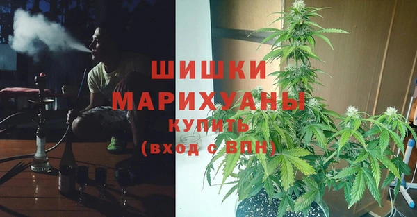 соль ск Арсеньев