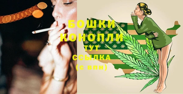 соль ск Арсеньев