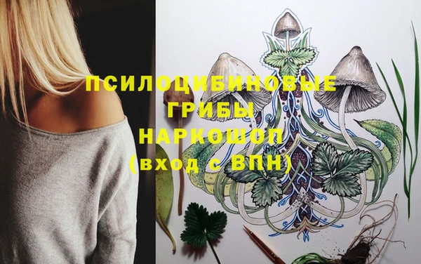дурь Армянск